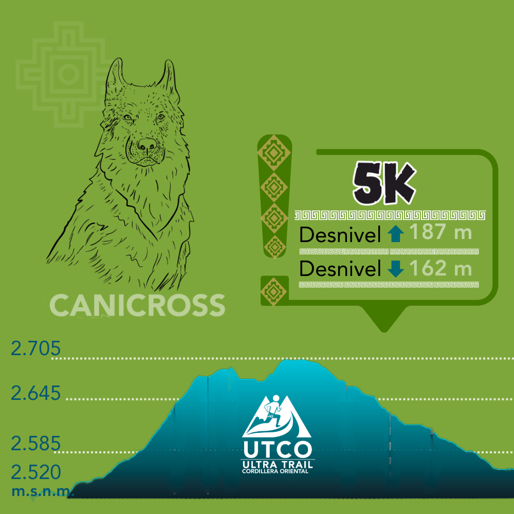 Canicross 5km - Imagen 2