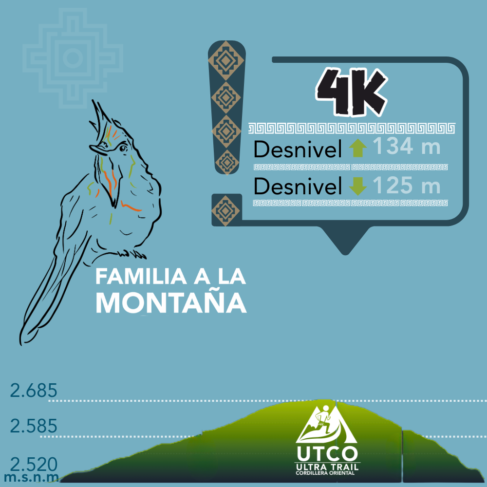 Colibrí 4km - Imagen 2