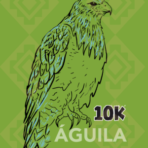 Águila 10km