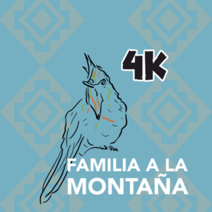 Colibrí 4km