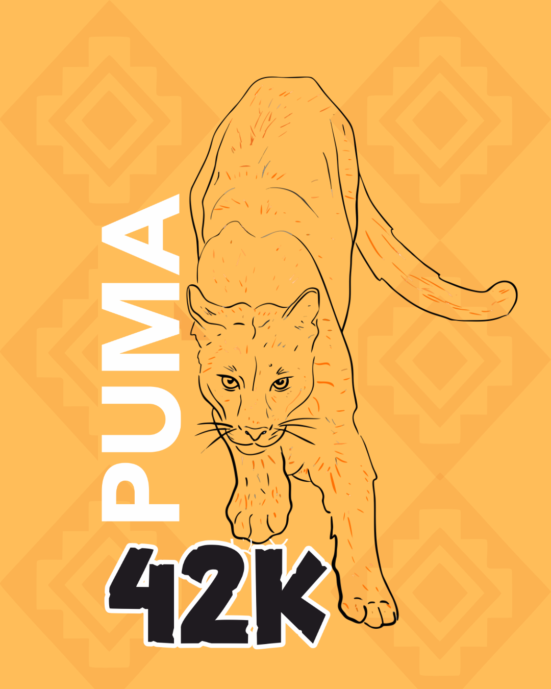 Puma 42km
